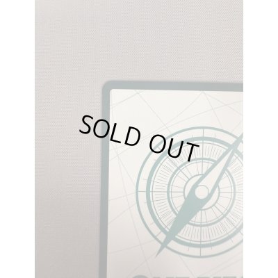 画像9: 【状態B】ドン!!カード[ロロノア・ゾロ](スーパーパラレル)【PRB-01】