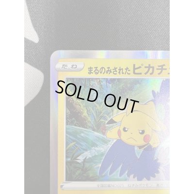 画像3: 【状態B】まるのみされたピカチュウ(105/S-P)