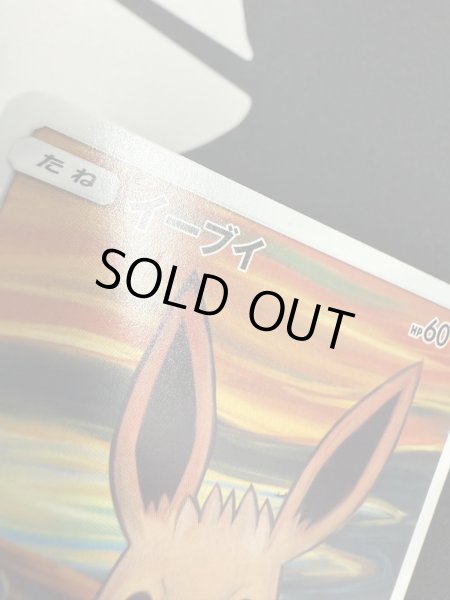 画像5: 【状態C】イーブイ(287/SM-P)(1) (5)