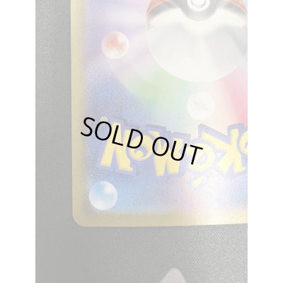 画像10: 【状態B-】ナンジャモ(350/190 SAR)