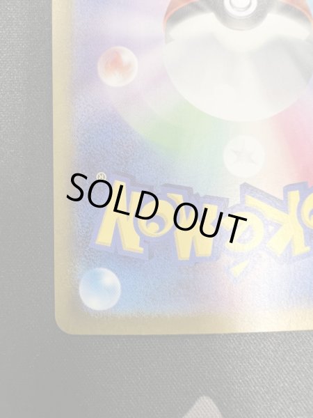 画像10: 【状態B-】ナンジャモ(350/190 SAR) (10)