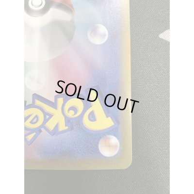 画像11: 【状態B-】ナンジャモ(350/190 SAR)