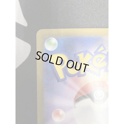 画像8: 【状態B-】ナンジャモ(350/190 SAR)