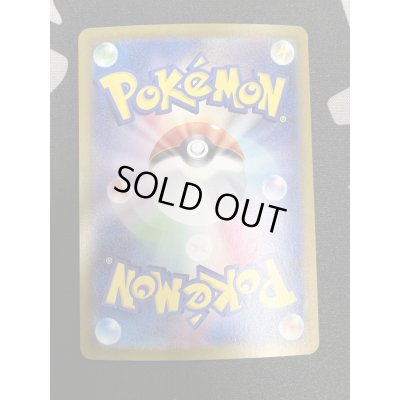 画像7: 【状態B-】ナンジャモ(350/190 SAR)