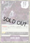 【BLACK FRIDAY】海賊旗ホイルランダム10枚セット!!【19】