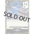 【BLACK FRIDAY】海賊旗ホイルランダム10枚セット!!【16】