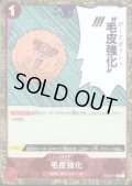 【BLACK FRIDAY】海賊旗ホイルランダム10枚セット!!【6】