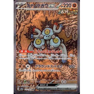 画像1: スナノケガワex(215/187 SAR)