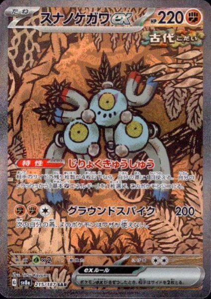 画像1: スナノケガワex(215/187 SAR) (1)