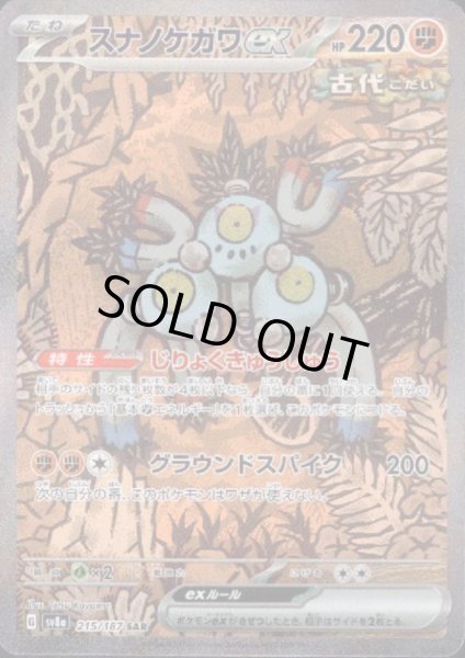 画像1: 【状態B】スナノケガワex(215/187 SAR) (1)