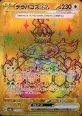 【状態B】テラパゴスex(237/187 UR)