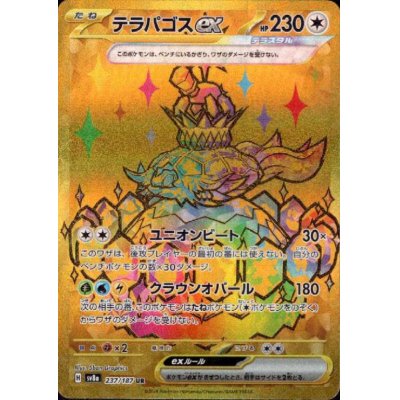 画像1: 【状態B】テラパゴスex(237/187 UR)