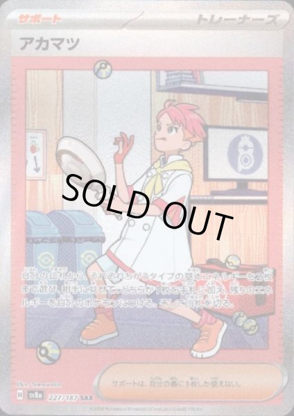 画像1: 【状態B】アカマツ(227/187 SAR) (1)