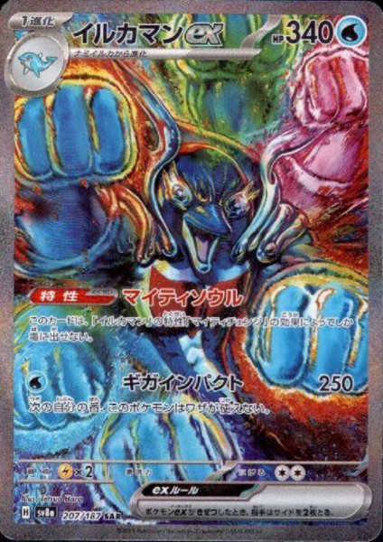 画像1: イルカマンex(207/187 SAR) (1)