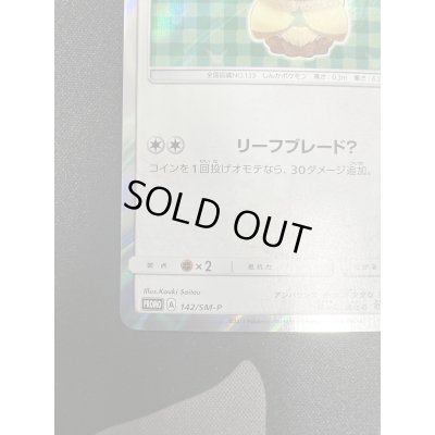 画像5: 【状態B】ポンチョを着たイーブイ(リーフィア)(142/SM-P)