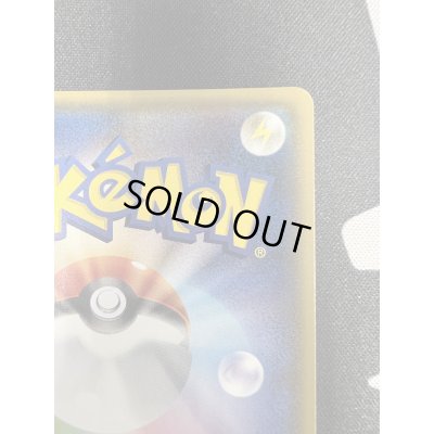 画像9: 【状態B】ポンチョを着たイーブイ(リーフィア)(142/SM-P)