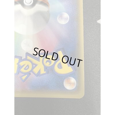 画像11: 【状態B】ポンチョを着たイーブイ(リーフィア)(142/SM-P)