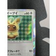 画像4: 【状態B】ポンチョを着たイーブイ(リーフィア)(142/SM-P)