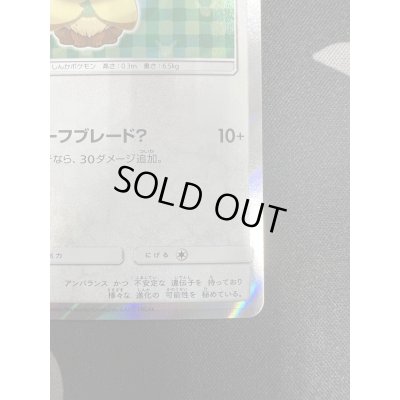 画像6: 【状態B】ポンチョを着たイーブイ(リーフィア)(142/SM-P)