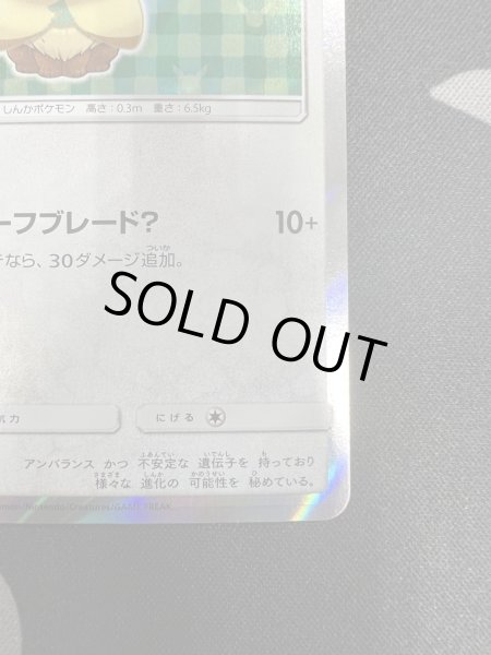 画像6: 【状態B】ポンチョを着たイーブイ(リーフィア)(142/SM-P) (6)