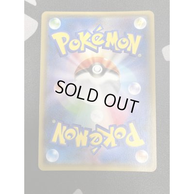 画像7: 【状態B】ポンチョを着たイーブイ(リーフィア)(142/SM-P)