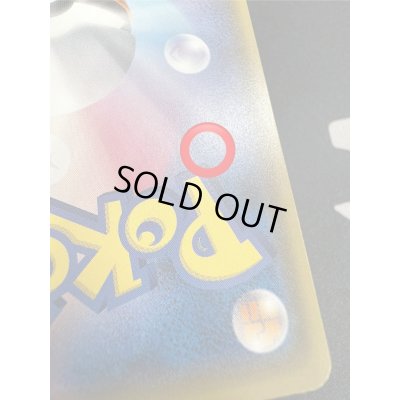 画像12: 【状態B】ポンチョを着たイーブイ(リーフィア)(142/SM-P)