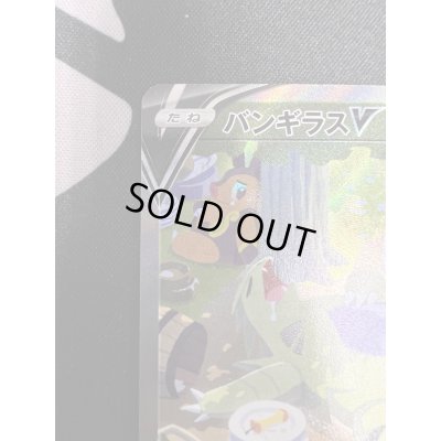 画像3: 【状態B】バンギラスV(077/070 SR)