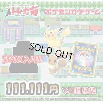 画像1: [PN]1月11日111,111円謎袋【全2口】
