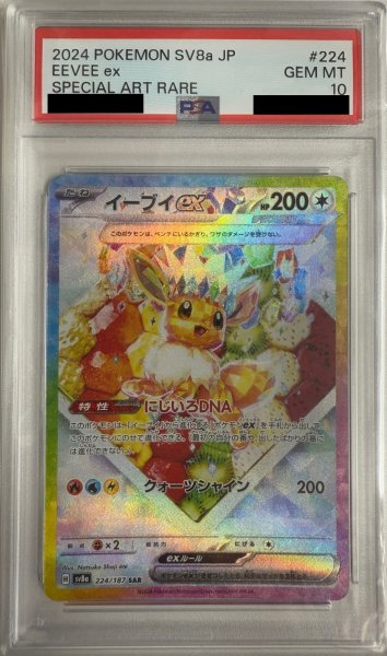 画像1: 【PSA10】イーブイex(224/187 SAR) (1)