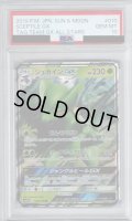 【PSA10】ジュカインGX(010/173 RR)【2号店併売中/店頭で状態確認可能！】