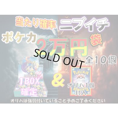 画像1: [PN]当たり確率ニブイチ ポケカ2万円袋【全10袋】2号店でも併売中