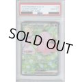【PSA10】リーリエのピッピex(126/100 SAR)[2号店併売中]