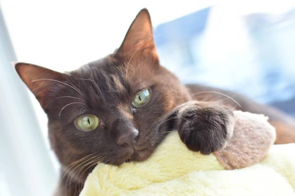 画像1: 2025/02/23 (1)