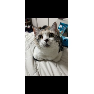 画像1: 2025/02/26