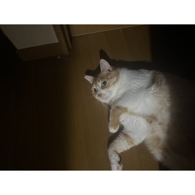 画像1: 2025/02/28
