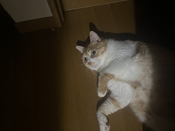 画像1: 2025/02/28 (1)