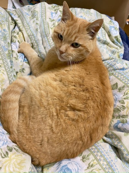 画像1: 2025/03/04 (1)