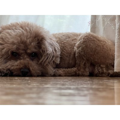 画像1: 2025/03/06