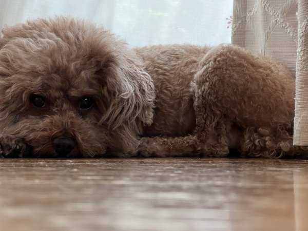 画像1: 2025/03/06 (1)