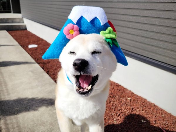 画像1: 2025/03/07 (1)