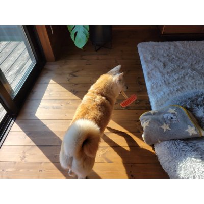 画像3: 2025/03/23