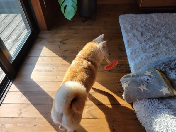 画像3: 2025/03/23 (3)