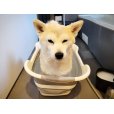 画像1: 2025/03/23 (1)