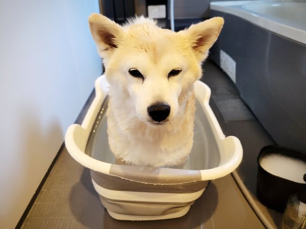 画像1: 2025/03/23 (1)