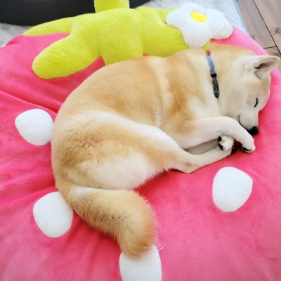 画像1: 2025/03/25