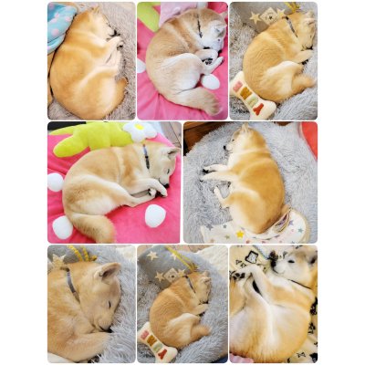 画像4: 2025/03/25