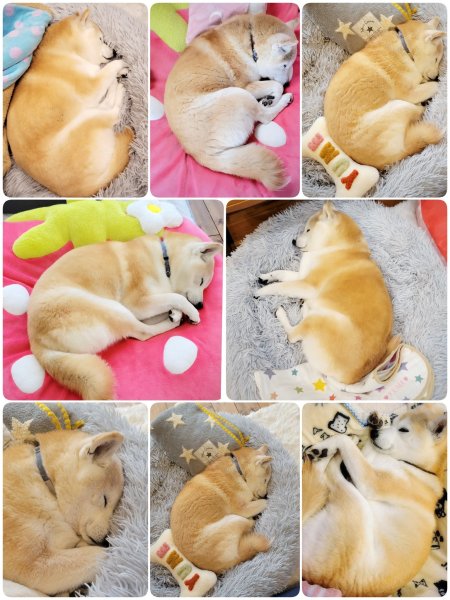 画像4: 2025/03/25 (4)