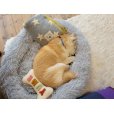 画像2: 2025/03/25 (2)