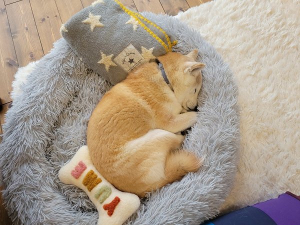 画像2: 2025/03/25 (2)