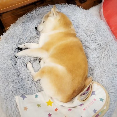 画像3: 2025/03/25